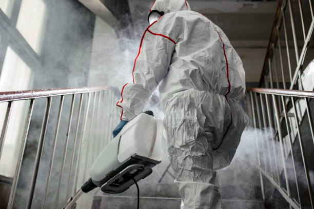 Brockway, PA Mold Removal Company